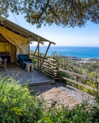 Campo Agave Luxury Tents
