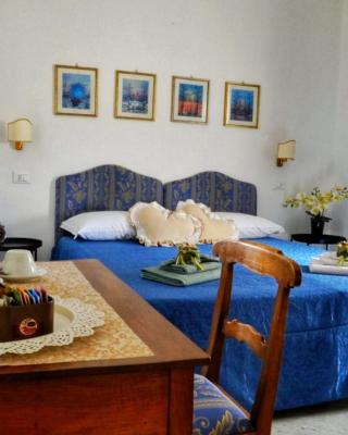 B&B Myosotis