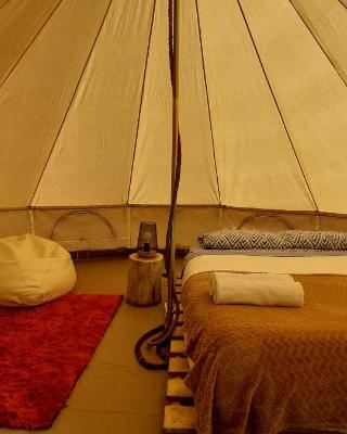 Nature Retreat - Laurel Forest