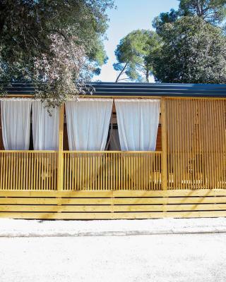 Mobile Home Ivana