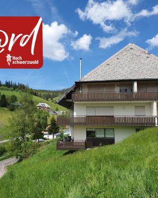 Spechtsboden C4- hochwertige Ferienwohnung mit 2 Schlafzimmer in Todtnauberg- Ski In and ski out, Feldberg