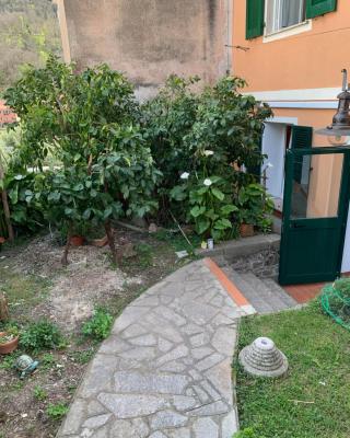 I Limoni 3