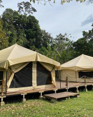 Canopy Villa Glamping Park