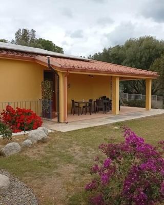 Bisu La Casa dei Sogni IUN R8622