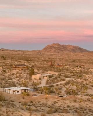 Kinetic House-Joshua Trees Sculptures Cowboy Pool