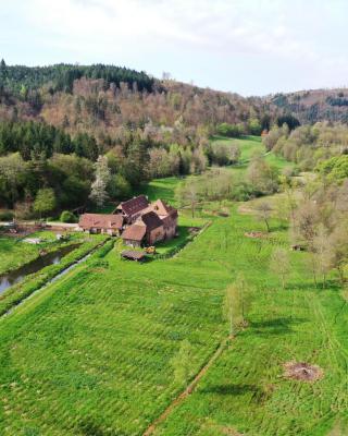 Maison d'hôtes de charme - Ancien moulin en pleine nature - La Paulusmühle