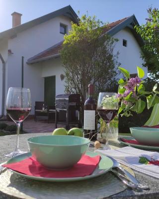 Szőlőhegyi házikó - Cottage in the vineyard