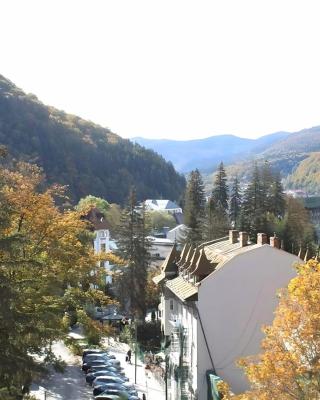 Central Park View Sinaia