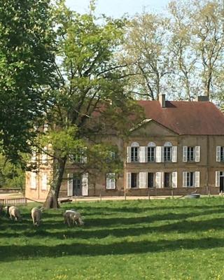 Maison au milieu d'un parc