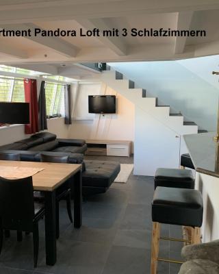 Apartments mit eigenem Charme in Meersburg