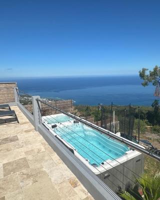 Superbe villa saint leu piscine et spa vue Océan
