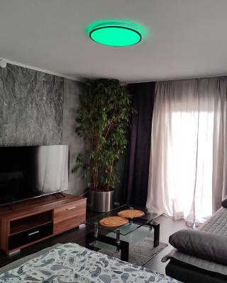 Ferienwohnung Rhein-Main II