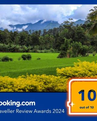 Ella Nature valley homestay