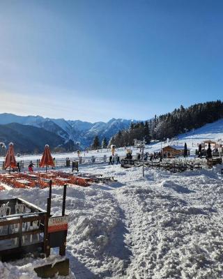 Les Isards Pied des pistes