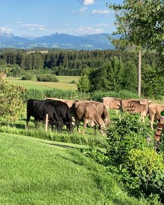 Kuh Heimat - Bergblick - Terrasse