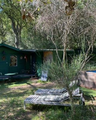 Chalet avec piscine privée dans la forêt