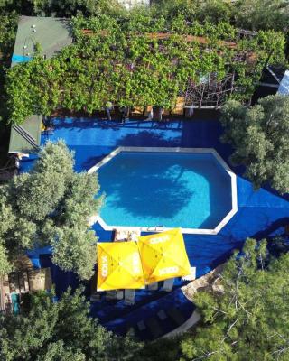 Shiva Camp