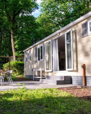 Heerlijk chalet in Hoenderloo met zonnig terras