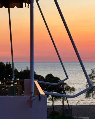 Sunset Serenity
