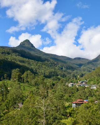 Blue Sky Hostel