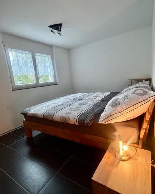 Gemütliche Wohnung mit Bergblick