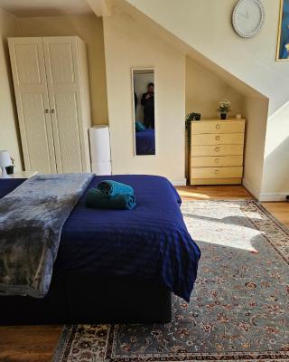 Homely double bed, TV, Wi-Fi and garden