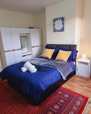 Bright sunny, double bed with garden, TV and Wi-Fi