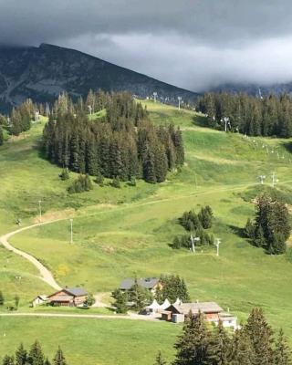 La cabane d'en haut