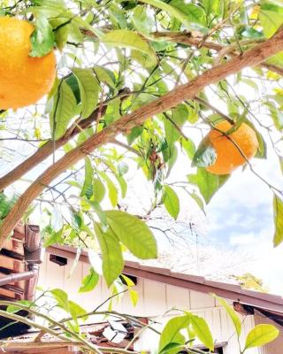 麻雀泊歓迎みかんハウスYugawaraHakoneAtami