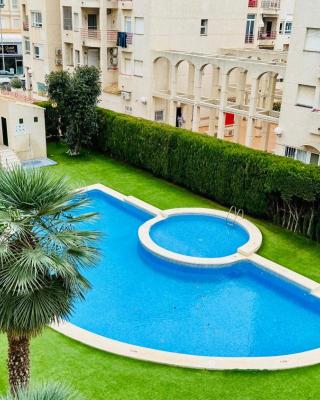Palatino Albir