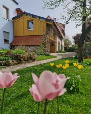Ferienwohnung Wiesenhof