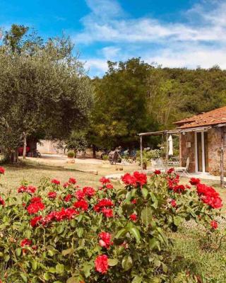 Agriturismo Poggio Ceraso di Lamioni Roberto