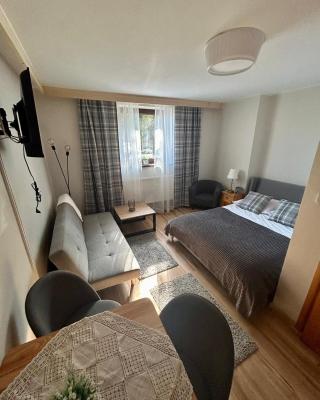 Pokoje Gościnne U Wioli