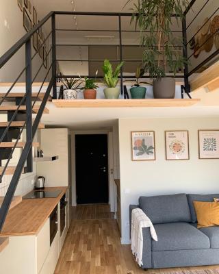 Vilnius Cozy loft