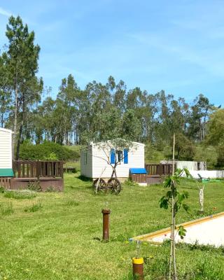 Clareira