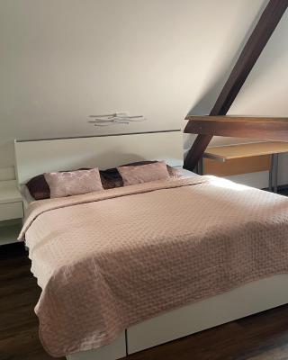 Jenys Apartment Usti 2