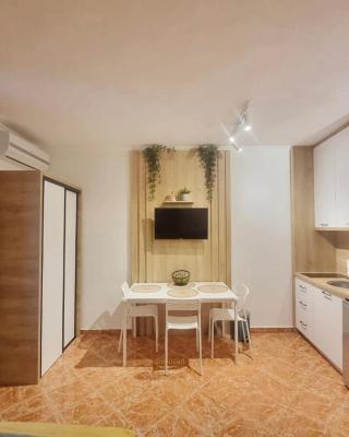 Studio apartman na plaži