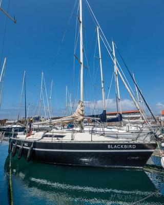 GuestReady - BlackBird - Sailboat Experience