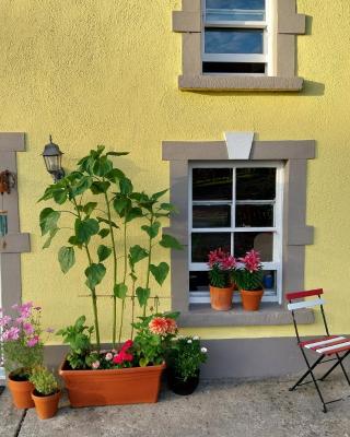 Felicity Cottage, W91 D1W3