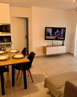Appartement cosy à Bron