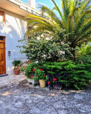 Private house in Locorotondo - Puglia - Italy