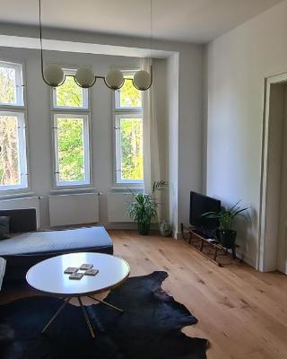 Art Nouveau apartment with garden in Pisek