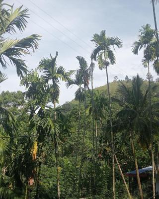 Cool Breeze View