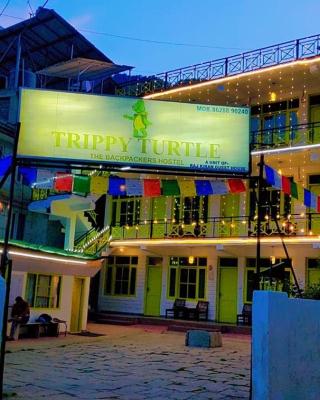 Trippy Turtle Hostel