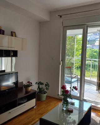 Apartman M Igalo