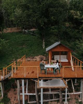 Cioclovina Tribe