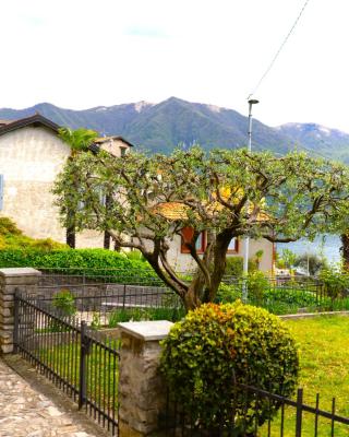 L' Asinello House wifi parking