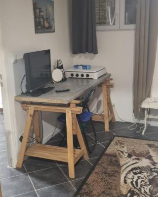 Joli studio dans ma maison