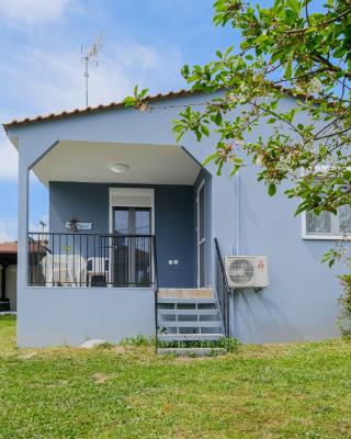 The Blue House