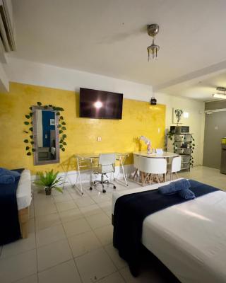 Suites Brisa Marina - atrás de Playa Regatas y el Malecón, 6 calles del Acuario
